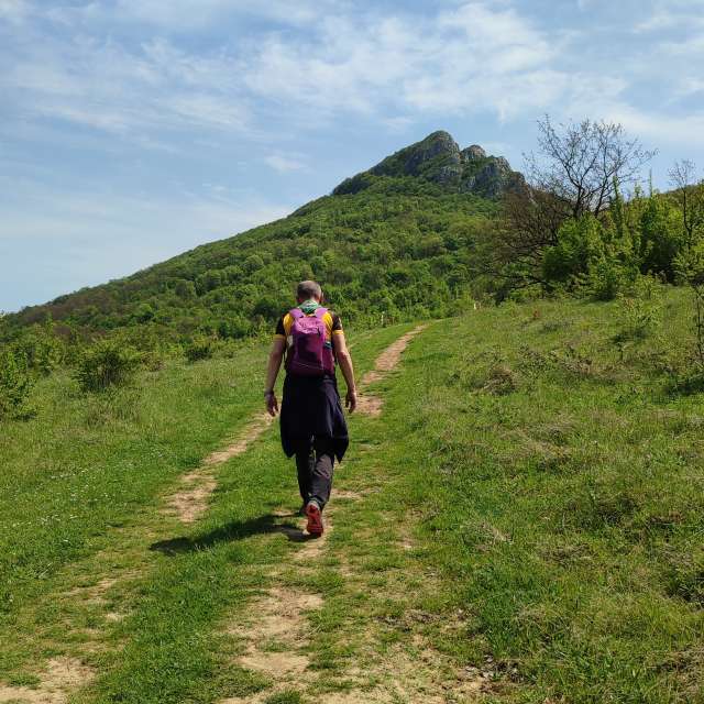 Weather forecasts with beautiful photos by lydito