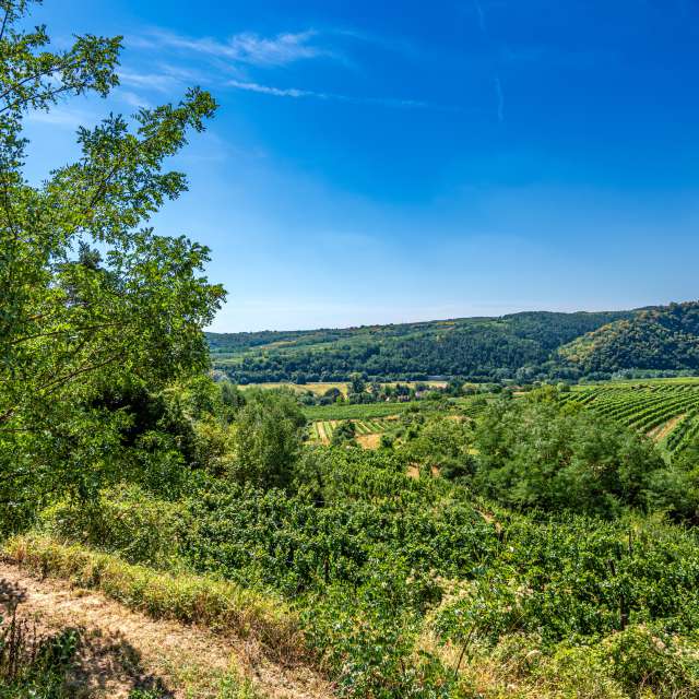 Wettervorhersagen mit schönen Fotos von Bluemoon