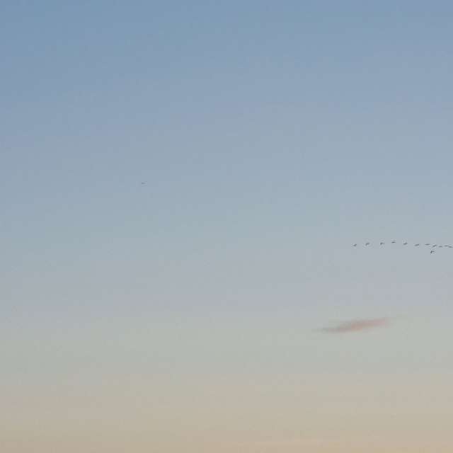 Sun. Weather forecasts with beautiful photos by DaB Photos in Krommenhoeke