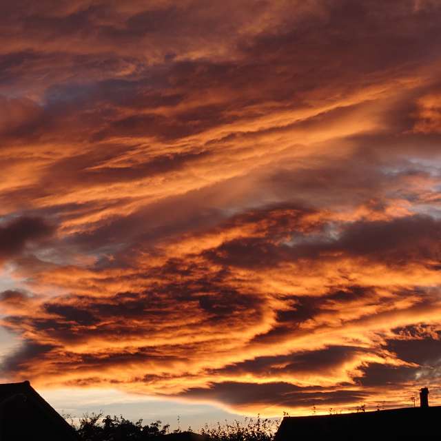 Weather Photos in Marketplace. Weather forecasts with beautiful photos by Jord Anne