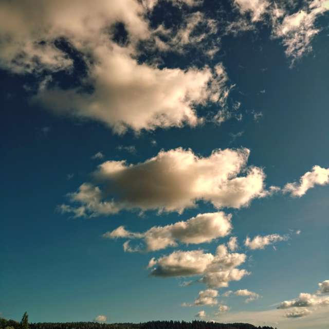 Pronósticos del tiempo con hermosas fotos de fruta