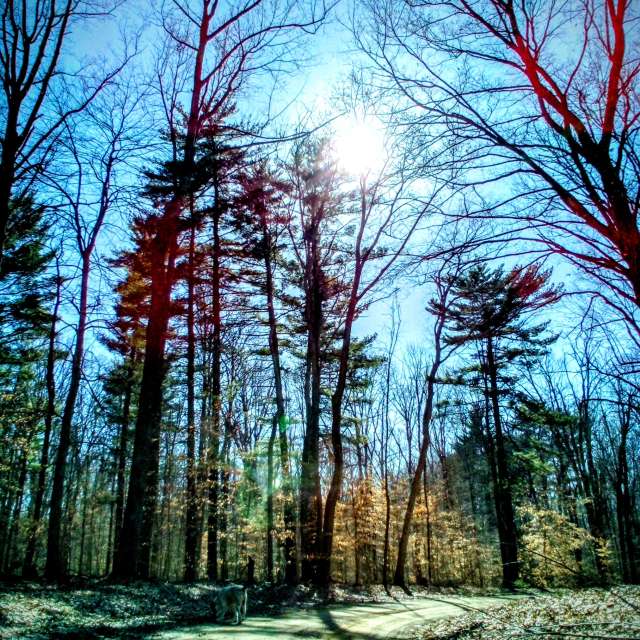 Previsões do tempo com lindas fotos de eilertannunaki