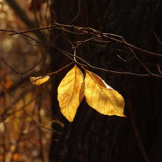 Hanging. Weather forecasts with beautiful photos by Михаил Гавриков Photos in Kharkiv