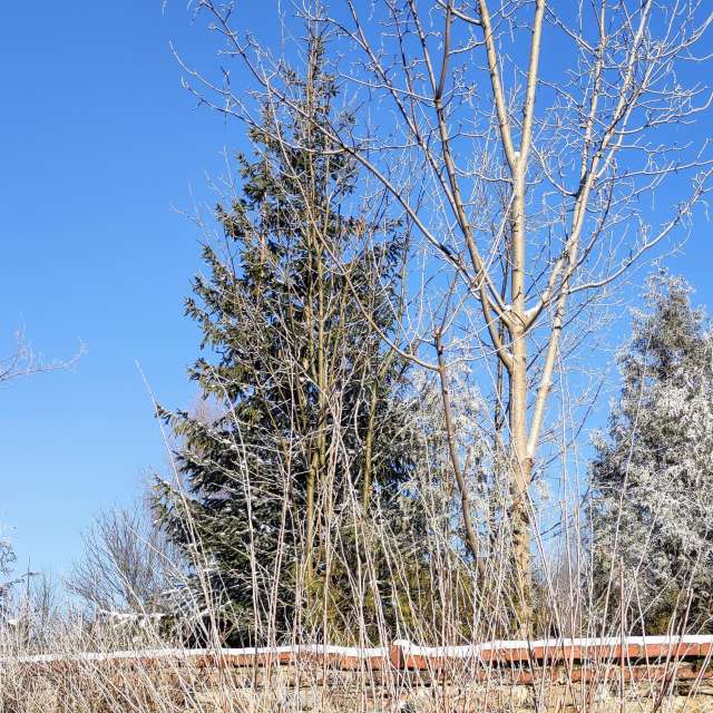 Gruppe. Wettervorhersagen mit schönen Fotos von Kripo Fotos Ladek Zdroj