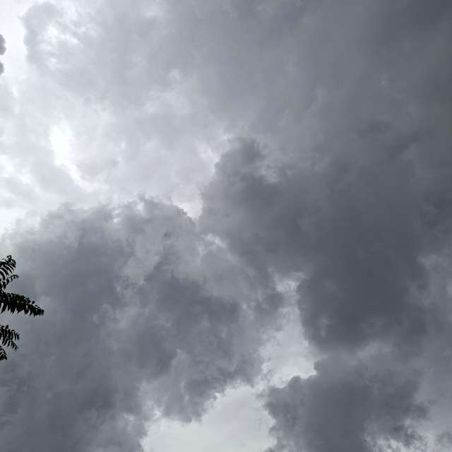 Going. Weather forecasts with beautiful photos by Wen-ya Huang Photos in Kaohsiung City