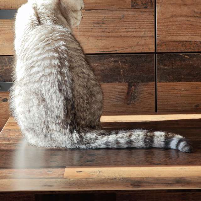 Pronósticos del tiempo con hermosas fotos de Fabri