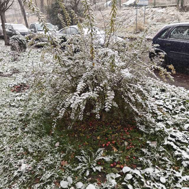 Weather forecasts with beautiful photos by zjabri