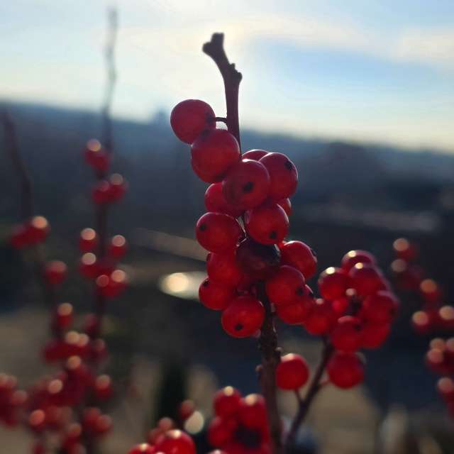 Prévisions météo avec de superbes photos de Seni