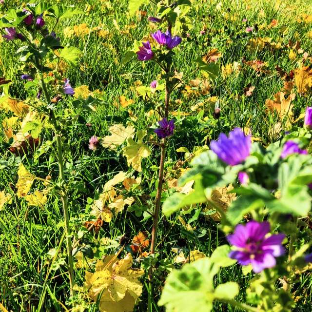 Weather forecasts with beautiful photos by VersusPoint