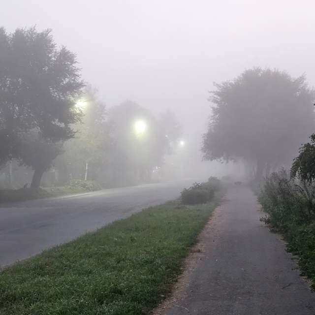 天气预报，带ImPe精美的照片