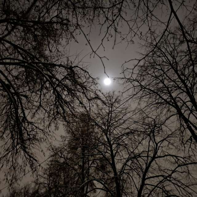 Wettervorhersagen mit schönen Fotos von Iryna