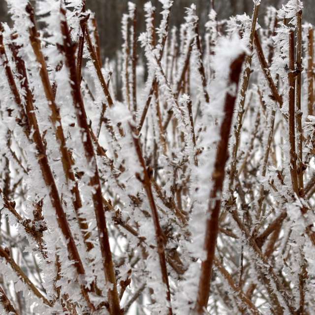 Weather forecasts with beautiful photos by Ewwa393