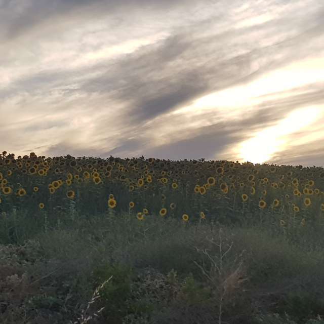 Clouds. Weather forecasts with beautiful photos by deliagt Photos in Arcos de la Frontera
