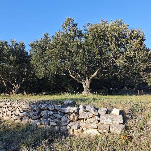 RoncevicRの美しい写真による天気予報