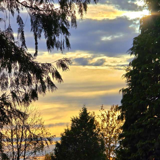 GREENE. Weather forecasts with beautiful photos by Seni Photos in World