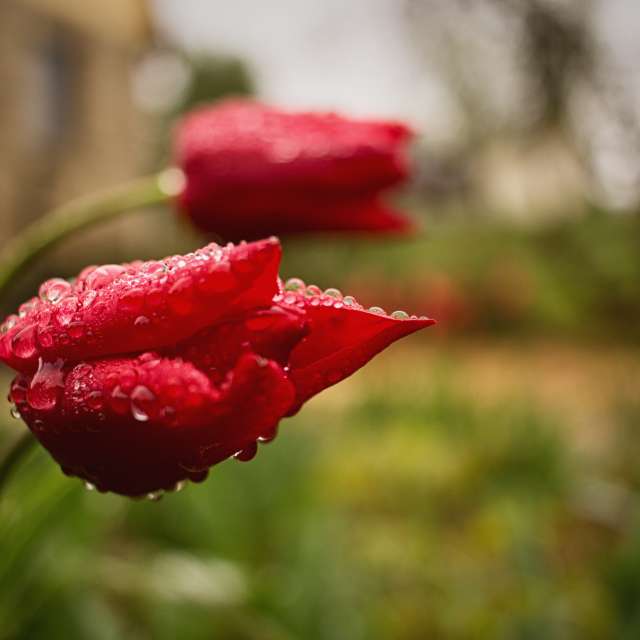 天气预报，带Axys精美的照片