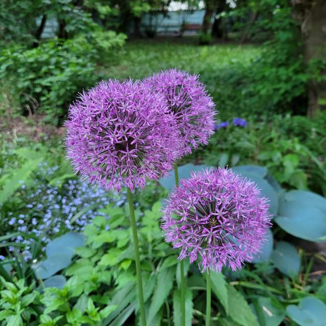 天气预报，带PaulKu精美的照片