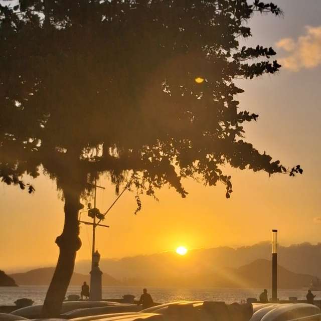 天气预报，带davidonefighter精美的照片