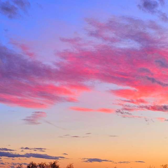 Herd. Weather forecasts with beautiful photos by Seni Photos in Velbert
