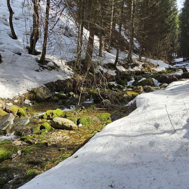 Fotos Colina. Previsões do tempo com lindas fotos de Chizh em Almaty