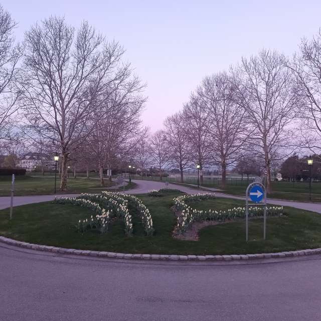 Doppelter. Wettervorhersagen mit schönen Fotos von Kripo Fotos Niederösterreich