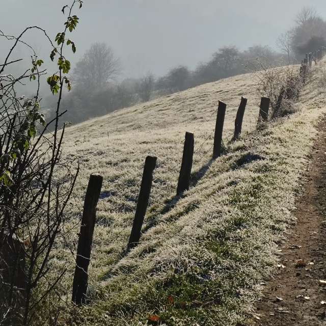 天气预报，带Brtd精美的照片