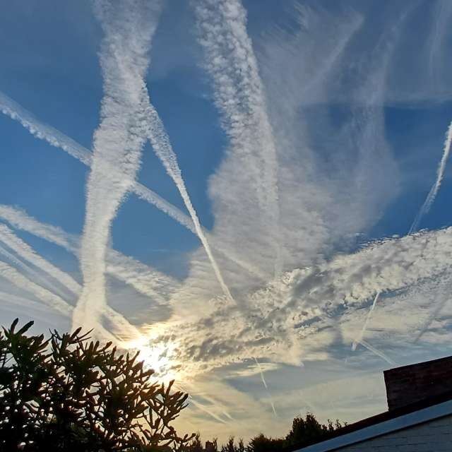 Photos Homme. Prévisions météo avec de superbes photos de Lolli de Maidstone