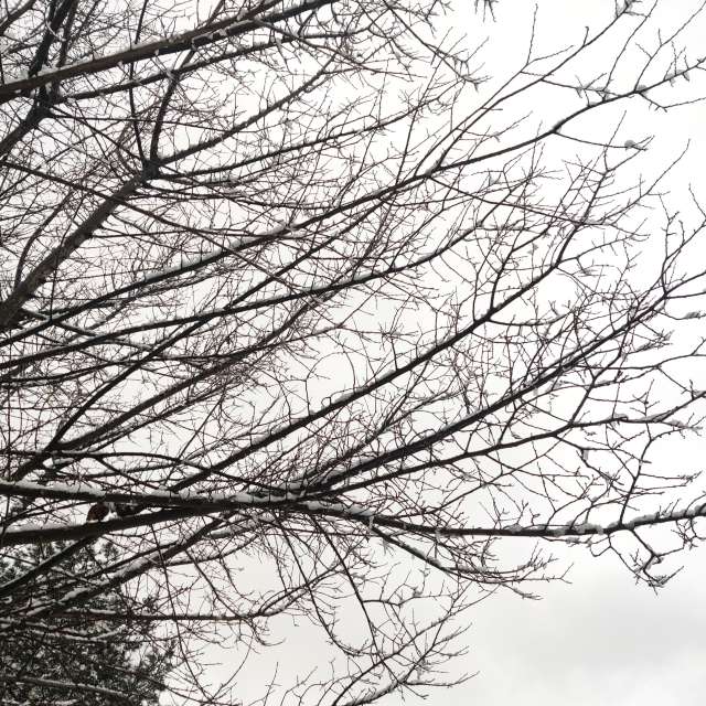 Прогнозы погоды с чудесными фотографиями, сделанными Zorrra