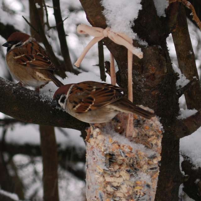 Weather forecasts with beautiful photos by Marcela Cervenakova