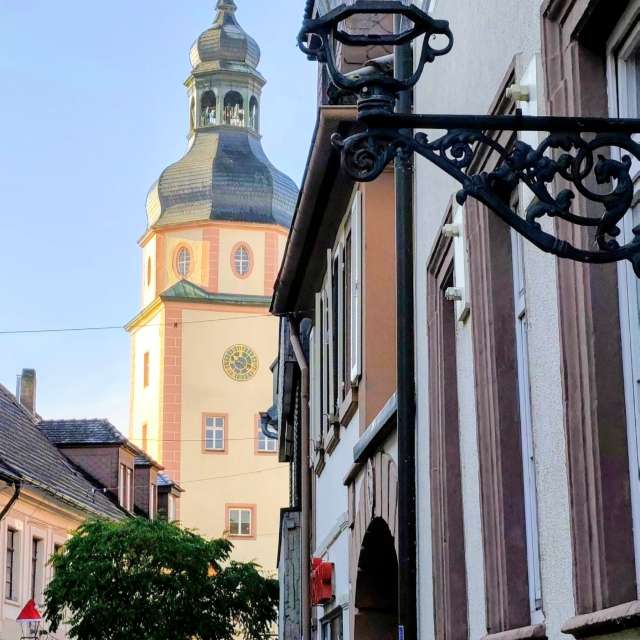 Weather forecasts with beautiful photos by Tercis