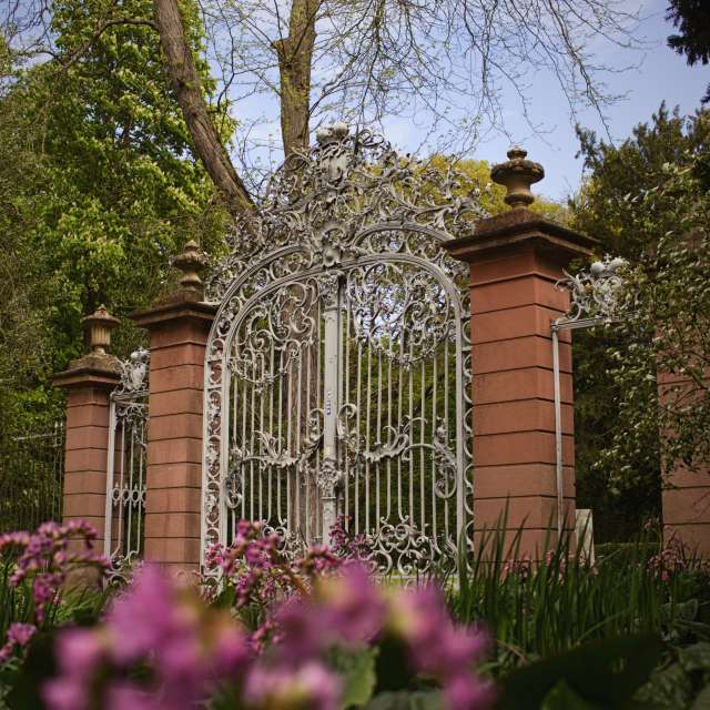 天气预报，带Axys精美的照片