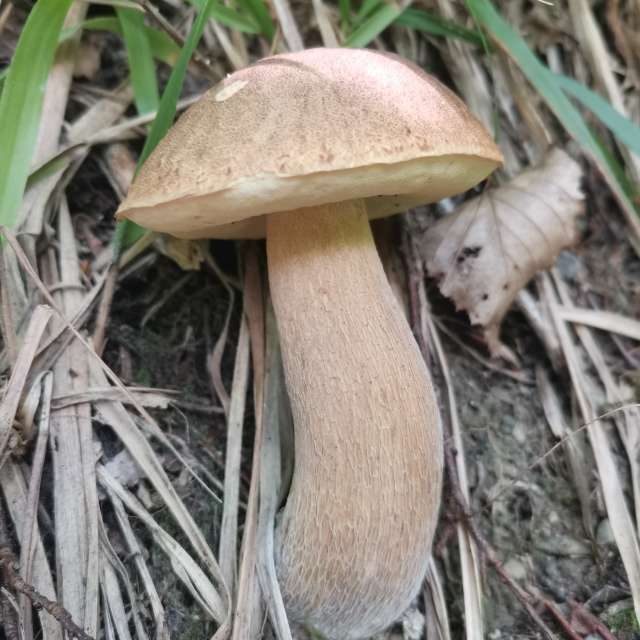 Fotos del De pie. Pronósticos del tiempo con hermosas fotos de Albert_Smelovtsev en Sochi