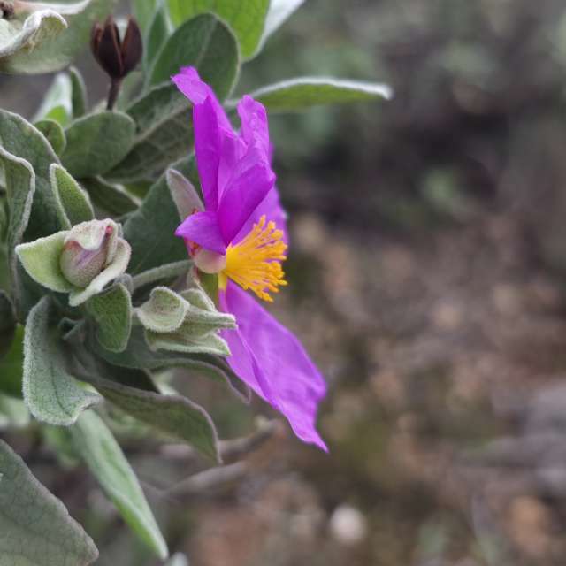 Weather forecasts with beautiful photos by Brtd