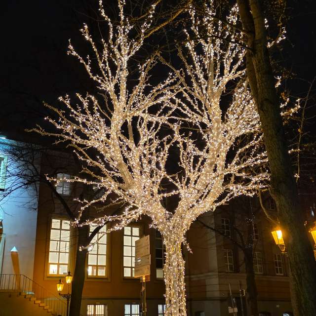 Seniの美しい写真による天気予報