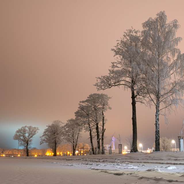 Snow. Weather forecasts with beautiful photos by Grzegorz Jakacki Photos in World