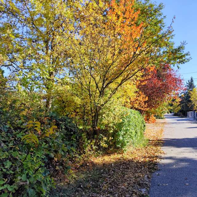 sloaraiの美しい写真による天気予報