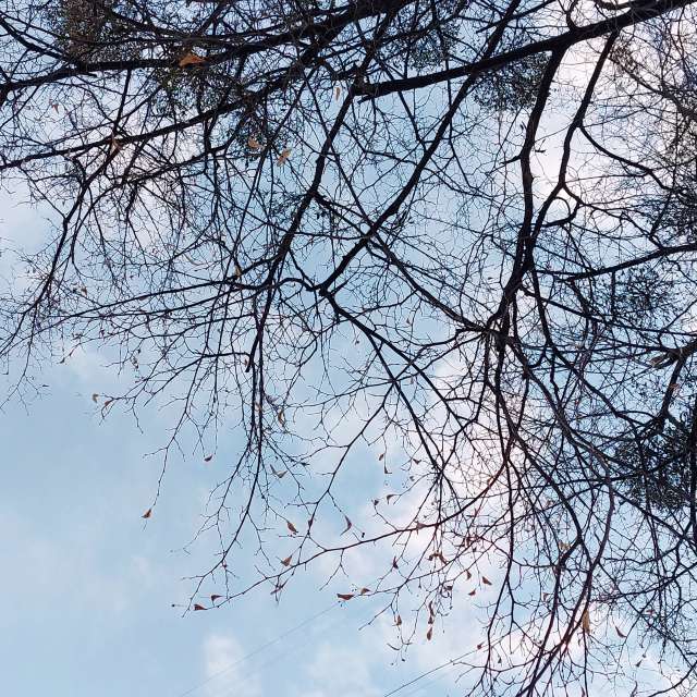 Sky. Weather forecasts with beautiful photos by Iryna Photos in Kharkiv