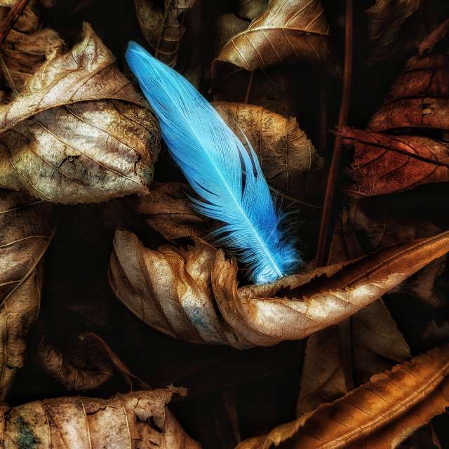 世界的天气照片. 天气预报，带aastrelkova精美的照片