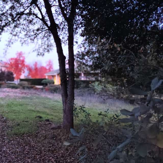 天气预报，带Ghostroku精美的照片