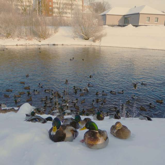 AlmaGenute53の美しい写真による天気予報