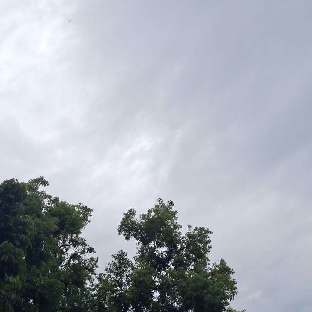 Fotos Jovem. Previsões do tempo com lindas fotos de Wen-ya Huang em Kaohsiung City