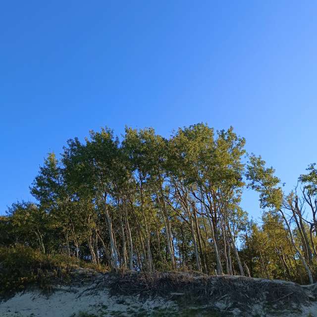 Gorod Svetlogorsk的Weather. 天气预报，带Михаил Бондаренко精美的照片照片