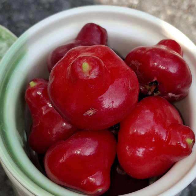 Prévisions météo avec de superbes photos de Wen-ya Huang