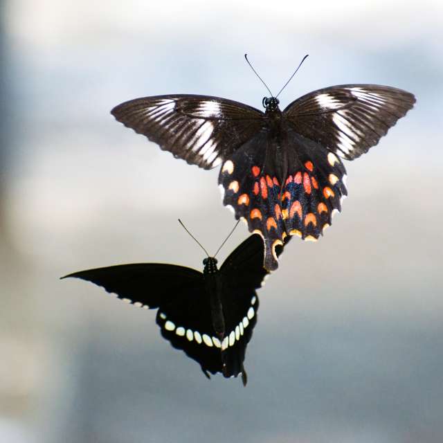 Previsões do tempo com lindas fotos de Vimal_Ram_S