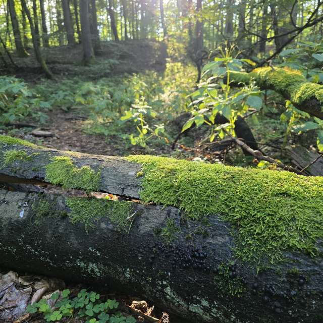 xPrzybyLxの美しい写真による天気予報