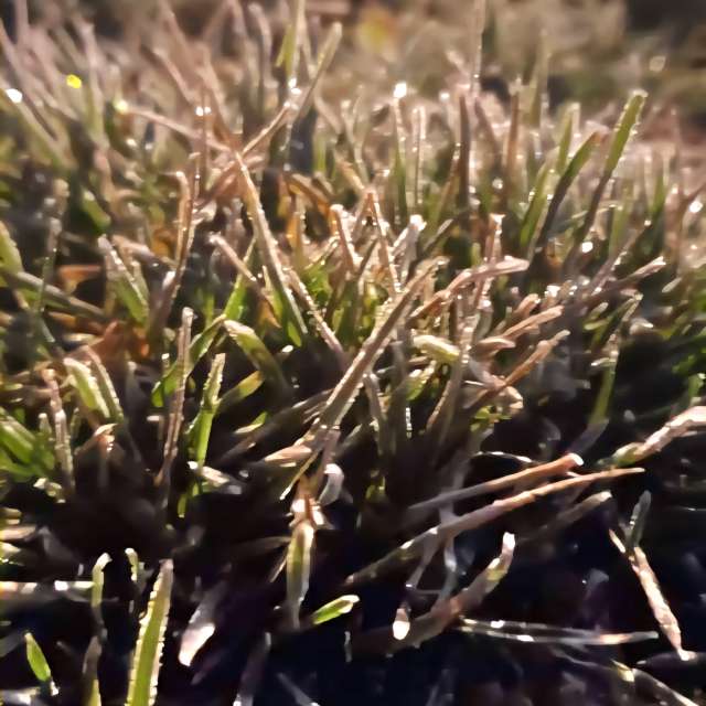 Previsões do tempo com lindas fotos de jJaycox