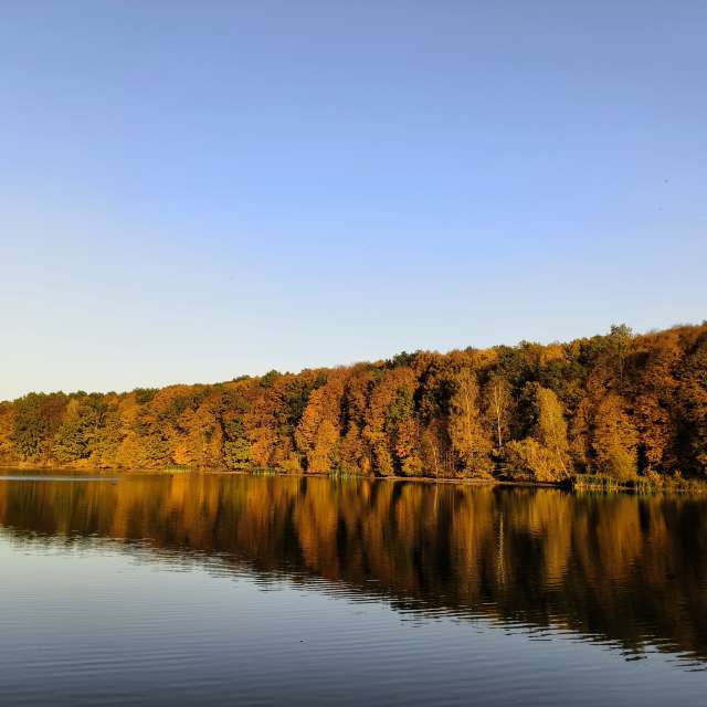 Train. Weather forecasts with beautiful photos by Aleksei Photos in Tula