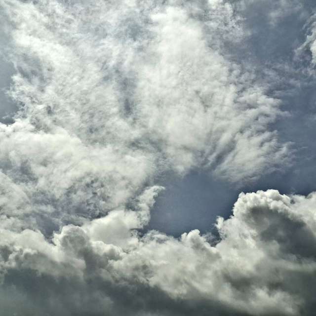 Photos Mouton. Prévisions météo avec de superbes photos de Wen-ya Huang de Kaohsiung