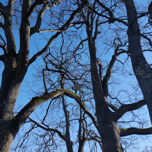 Прогнозы погоды с чудесными фотографиями, сделанными BijanZ