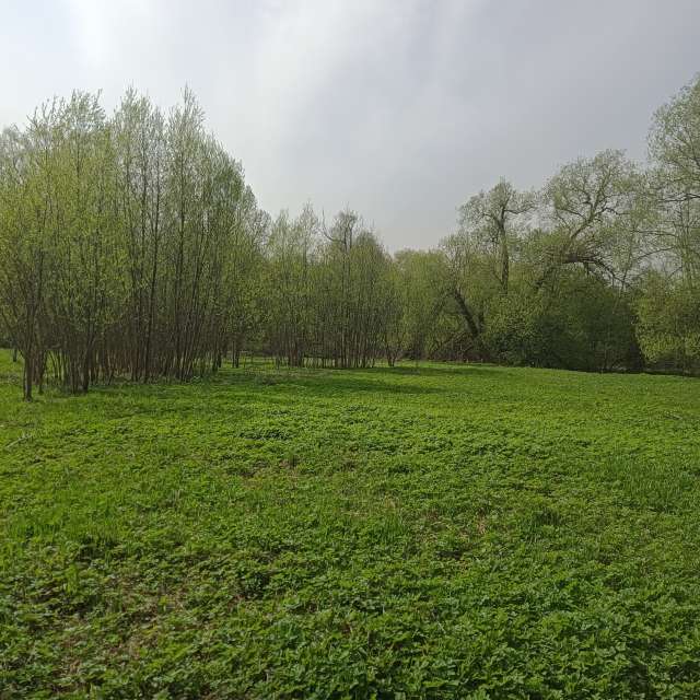 Weather Photos in World. Weather forecasts with beautiful photos by Amanda_and_Valdemar_Che